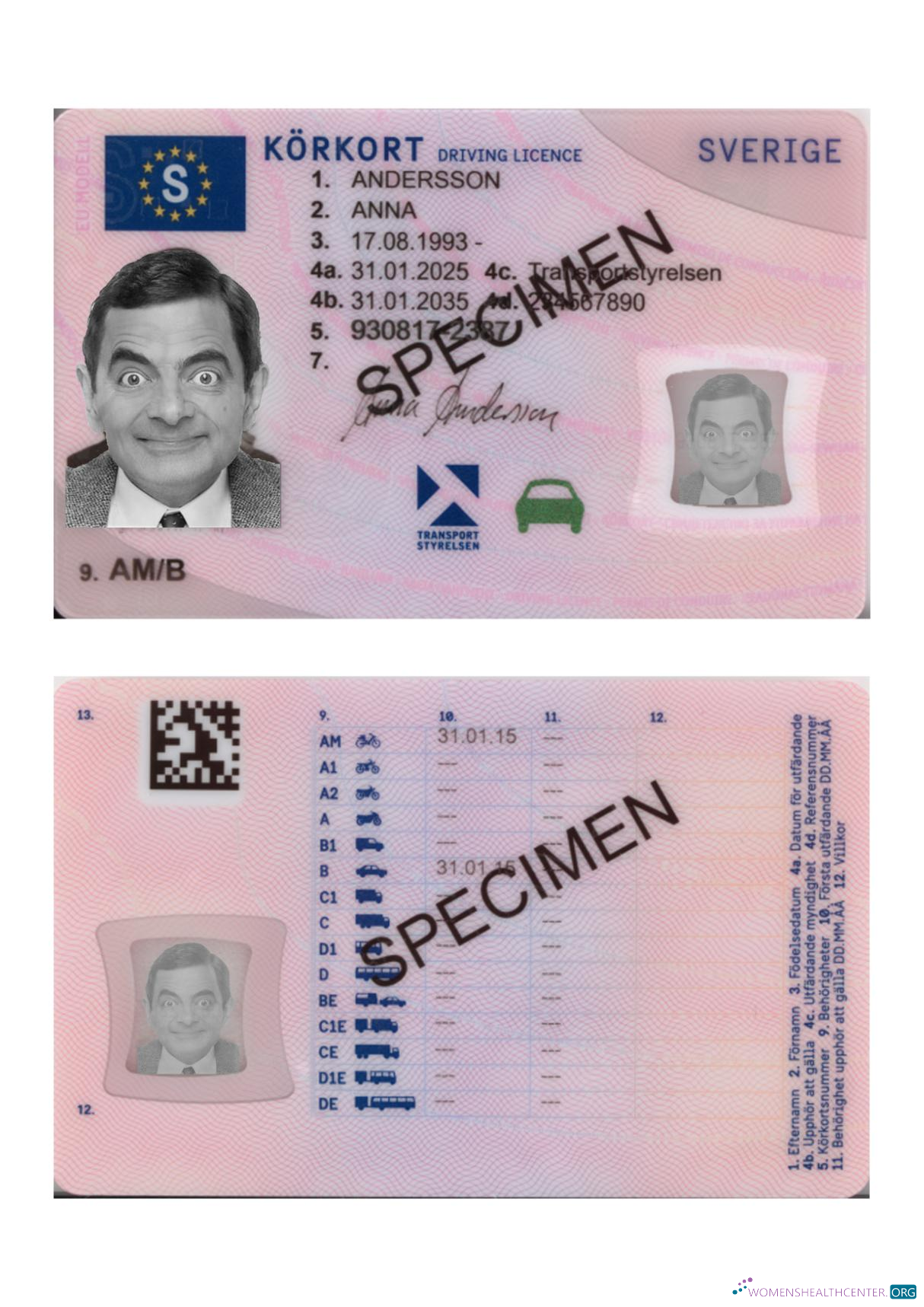 download Sweden driving license 2025 present